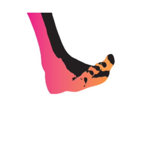 Activity booking system used by the Bare Feet Coasteer